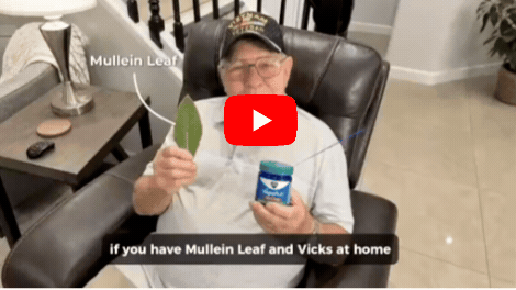 Mullein Leaf and Vicks Trick presentation